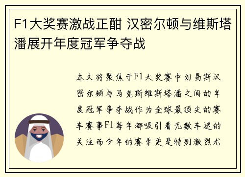 F1大奖赛激战正酣 汉密尔顿与维斯塔潘展开年度冠军争夺战